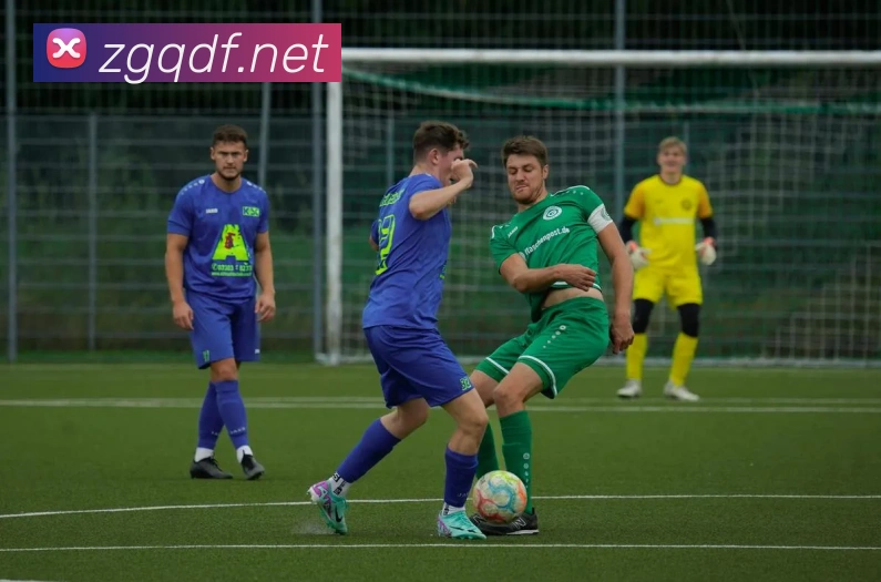 巅峰国际平台生态图