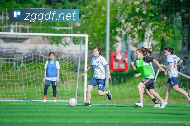 巅峰国际APP 封面图